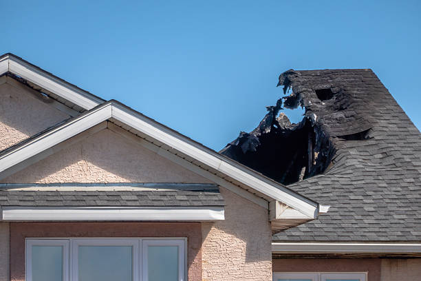 Top rated local Fire Damage Removal specialists in Northfield, MN